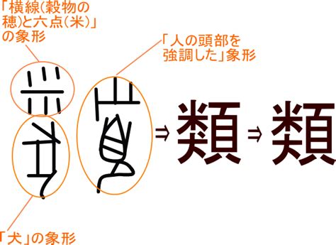 類 漢字|「類/類」という漢字の意味・成り立ち・読み方・画数・部首を学習